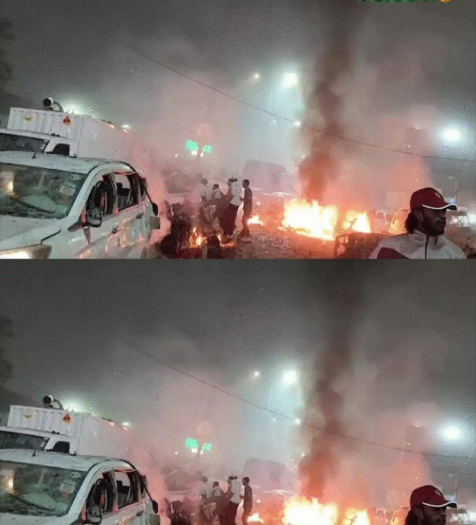 1000214113 1000214113